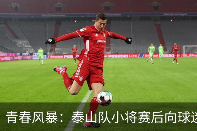 青春风暴：泰山队小将赛后向球迷致以崇高敬意